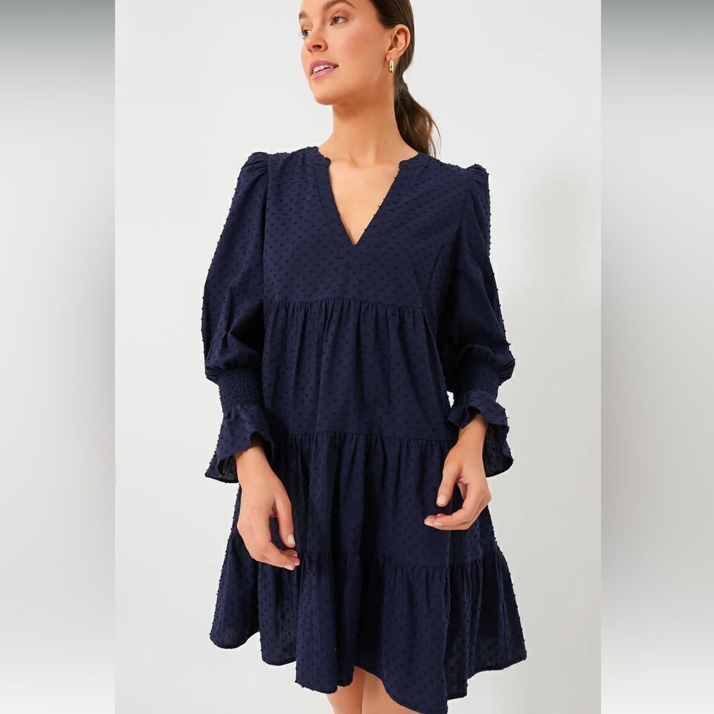 POMANDER PLACE Navy Swiss Dot Kenzo Dress NWT